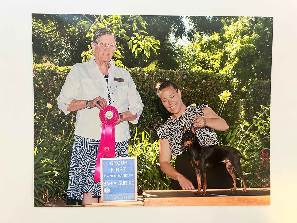 Manchester Terrier Puppies breeder image 6