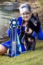 Born on St Patricks Day Schip Puppies CH sired, Mama is beautiful! breeder image 7