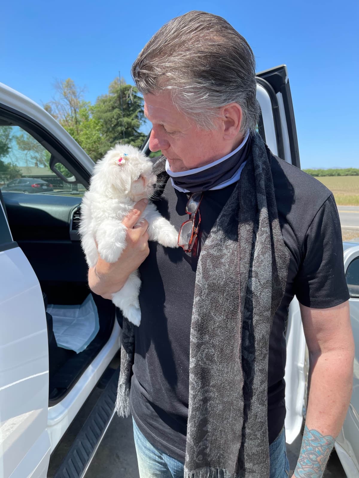 Coton de Tulear Puppies at Sutter Buttes Coton De Tulear breeder image 75