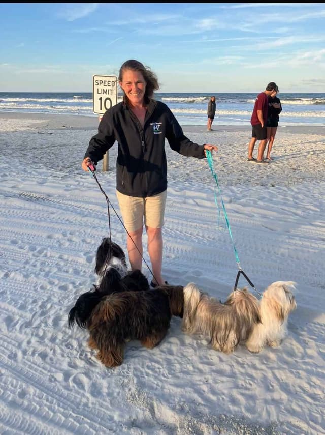 352-507-2089 FLORIDA AKC LHASA APSO PUPPIES MULTI-CHAMPION ANCESTRY media 21