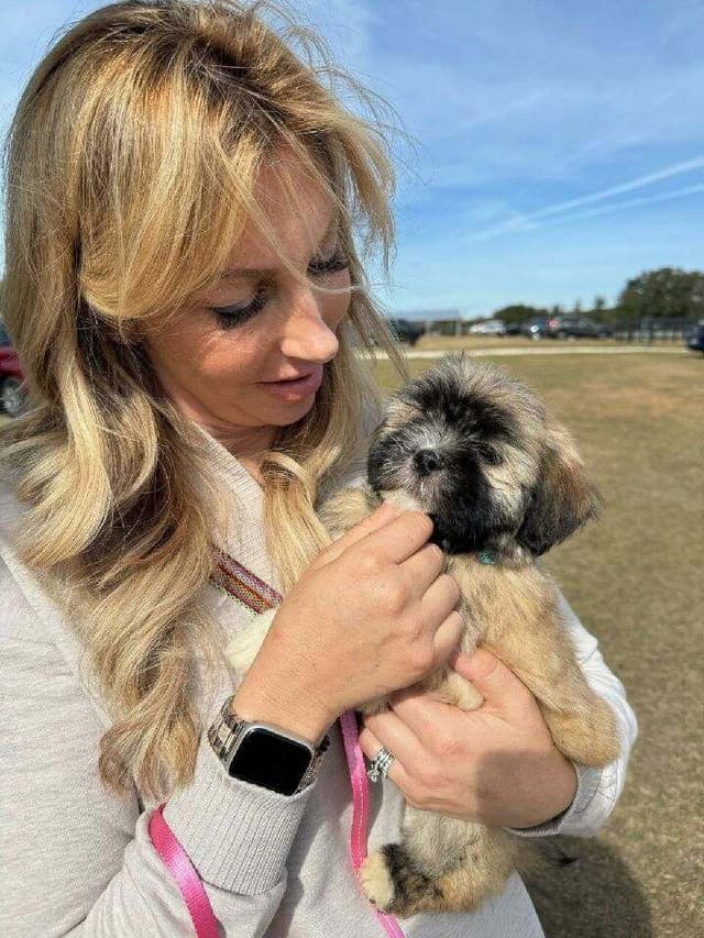 352-507-2089 FLORIDA AKC LHASA APSO PUPPIES MULTI-CHAMPION ANCESTRY media 25