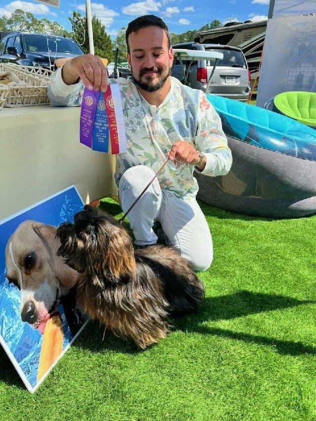 352-507-2089 FLORIDA AKC LHASA APSO PUPPIES MULTI-CHAMPION ANCESTRY media 10