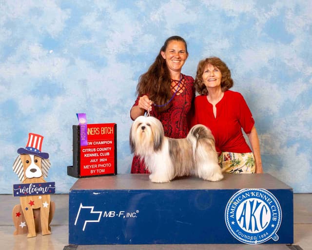 352-507-2089 FLORIDA  LHASA APSOS MULTI-CHAMPION ANCESTRY media 10