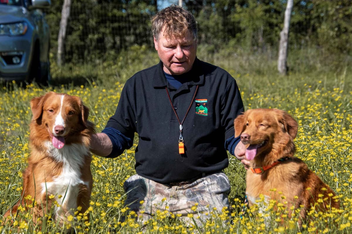 Cornwall's Pembroke Welsh Corgi Puppies, Ready for their Forever Homes breeder image 5