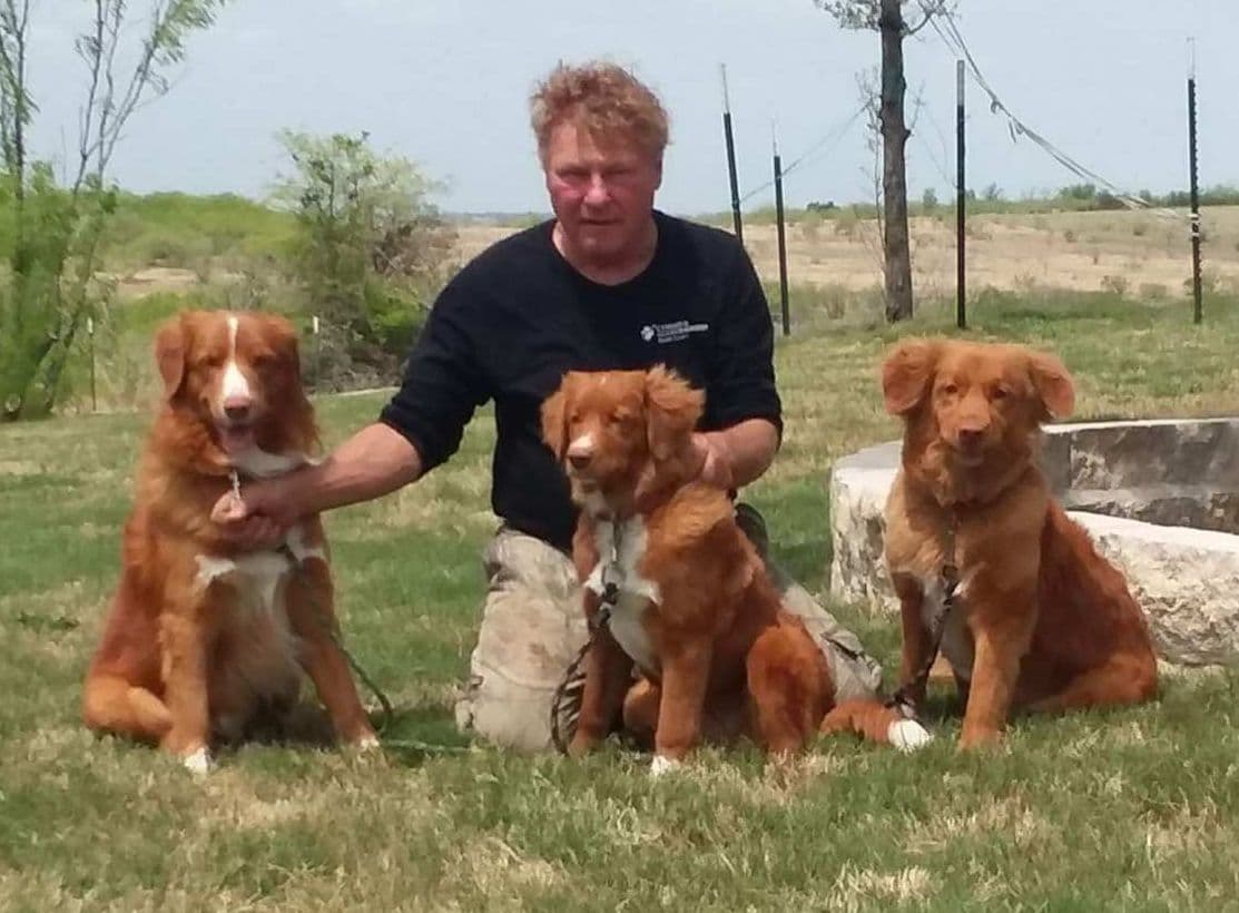 Cornwall's Pembroke Welsh Corgi Puppies, Ready for their Forever Homes breeder image 6