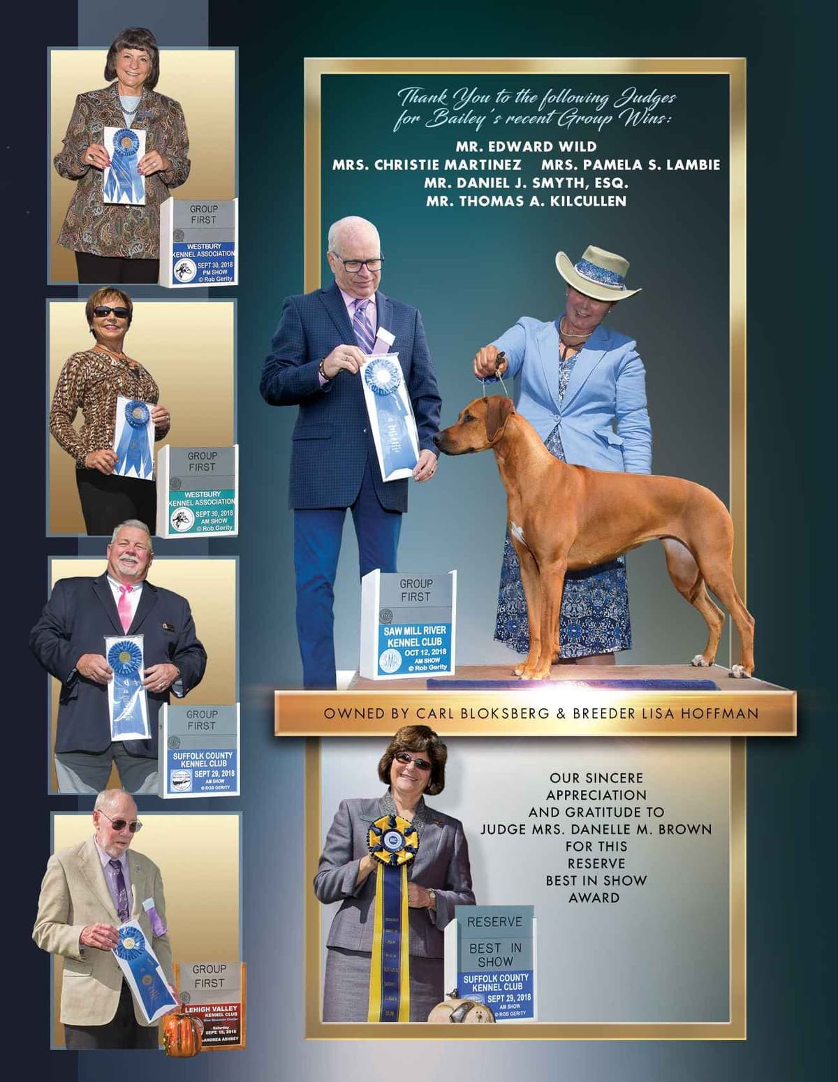 Rhodesian Ridgeback Puppies breeder image 17