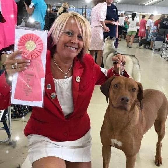 Rhodesian Ridgeback Puppies breeder image 18