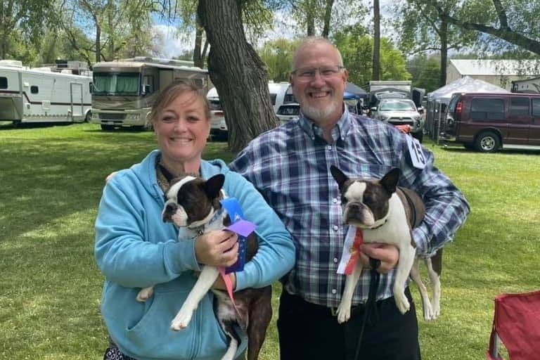 Boston Terrier Puppies breeder image 4