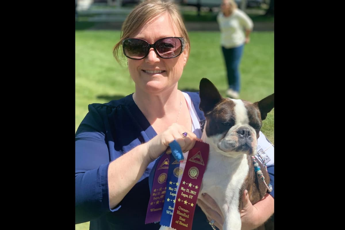 Boston Terrier Puppies breeder image 1