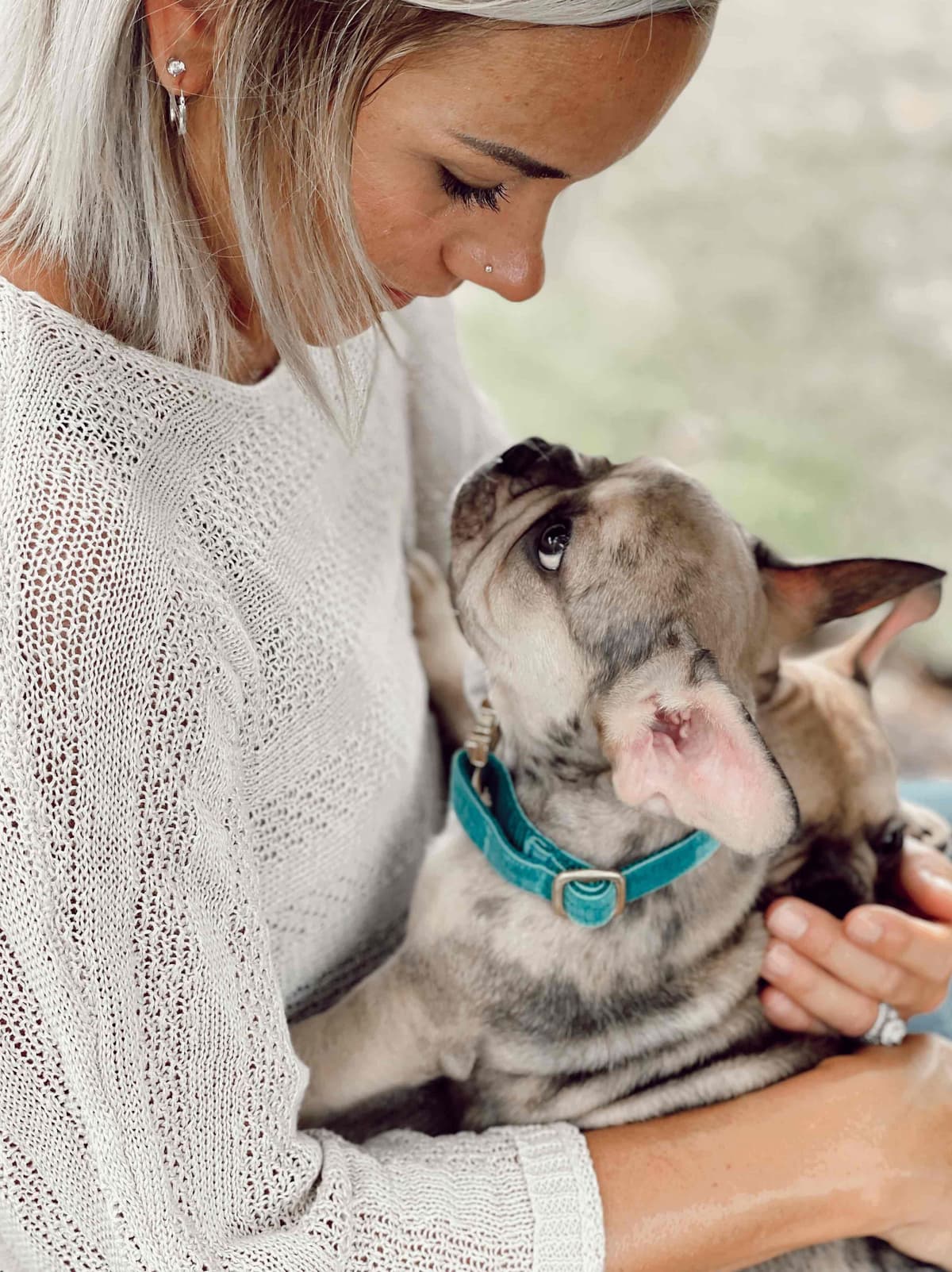 French Bulldog Puppies breeder image 8
