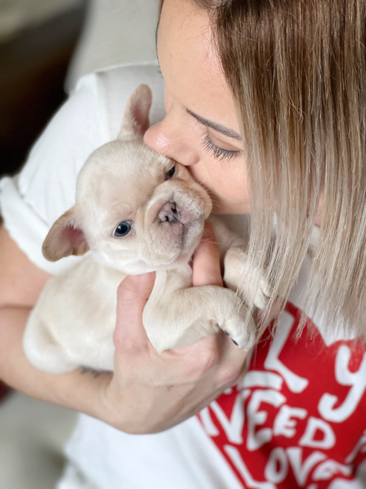 French Bulldog Puppies breeder image 10