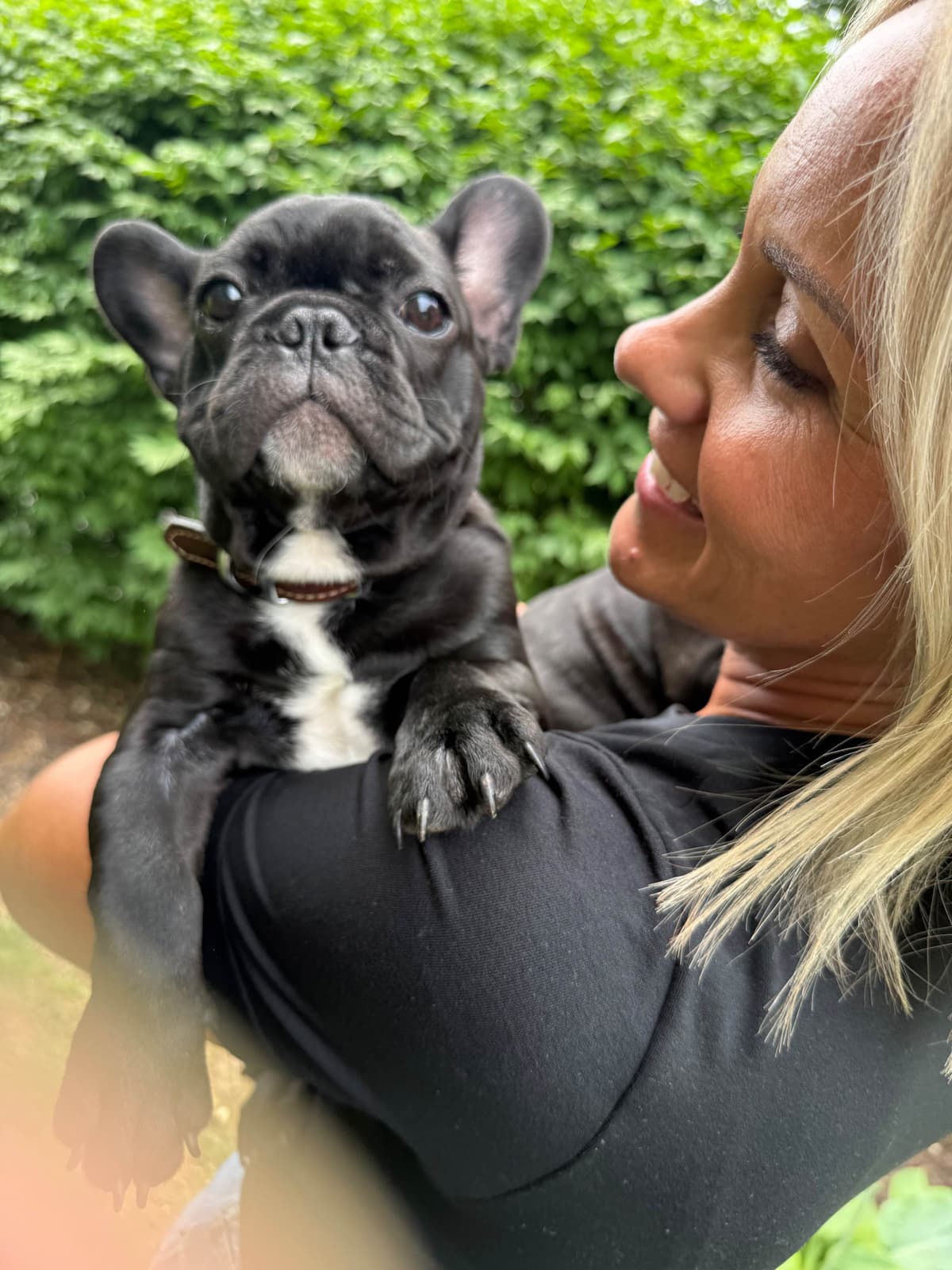 French Bulldog Puppies breeder image 14