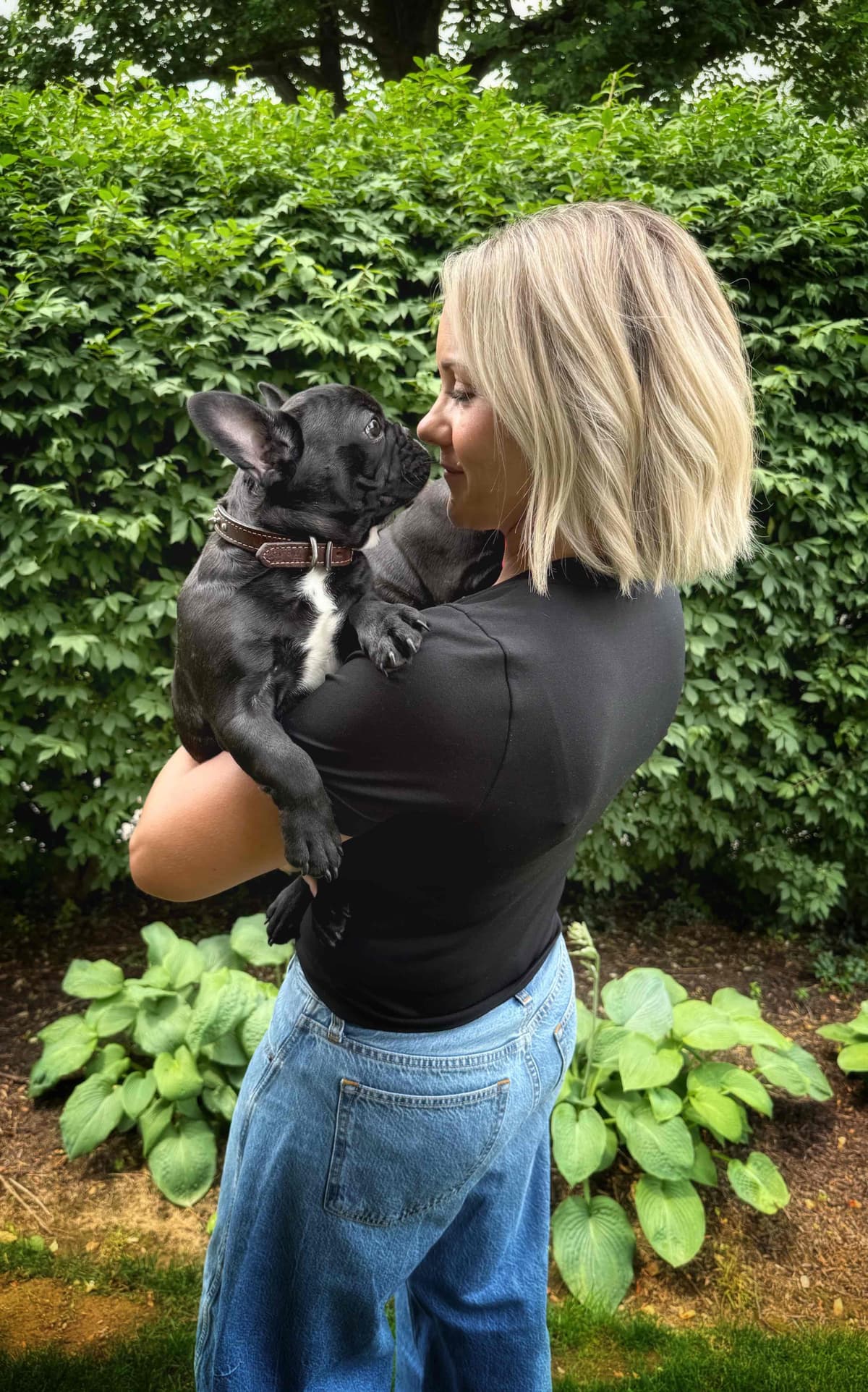 French Bulldog Puppies breeder image 19