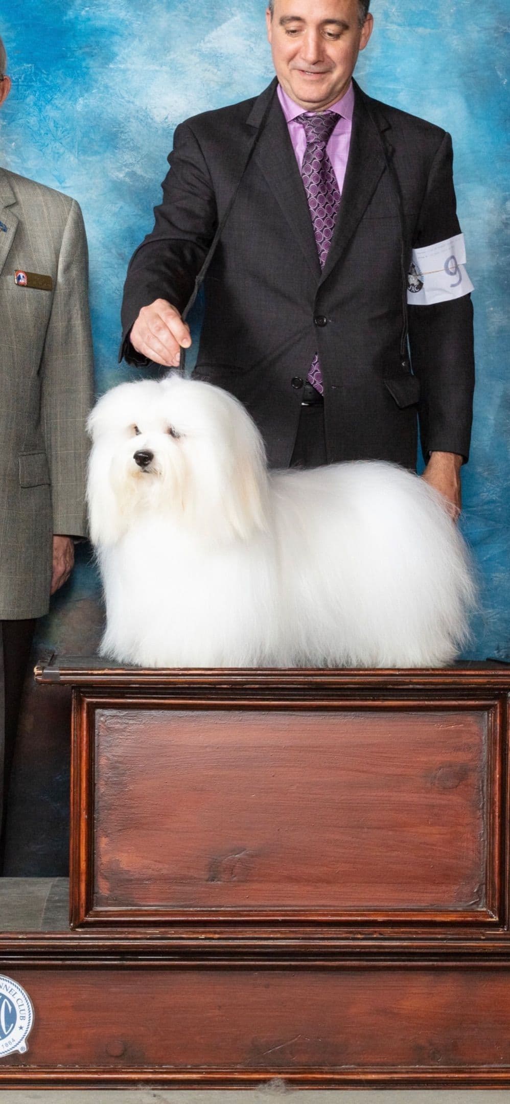 Coton de Tulear Puppies breeder image 22