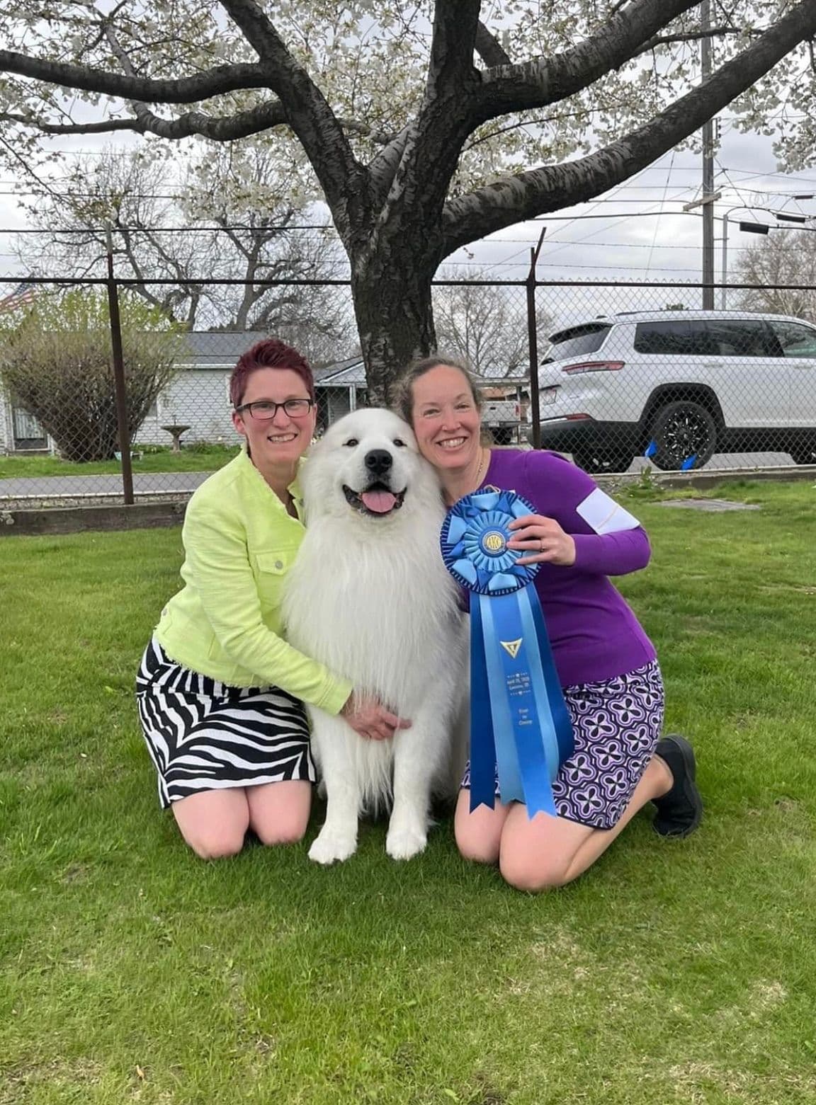 POLAR LIGHT GREAT Pyrenees Pups from GCH CH Parents breeder image 25