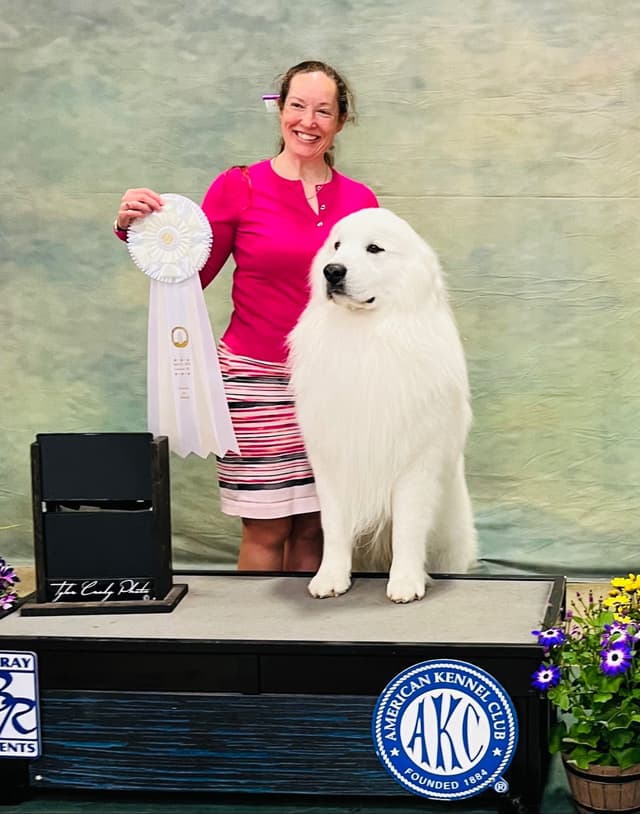 POLAR LIGHT GREAT Pyrenees Pups from GCH CH Parents media 10