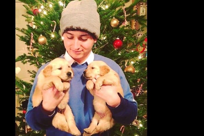 Golden Retriever Puppies breeder image 1