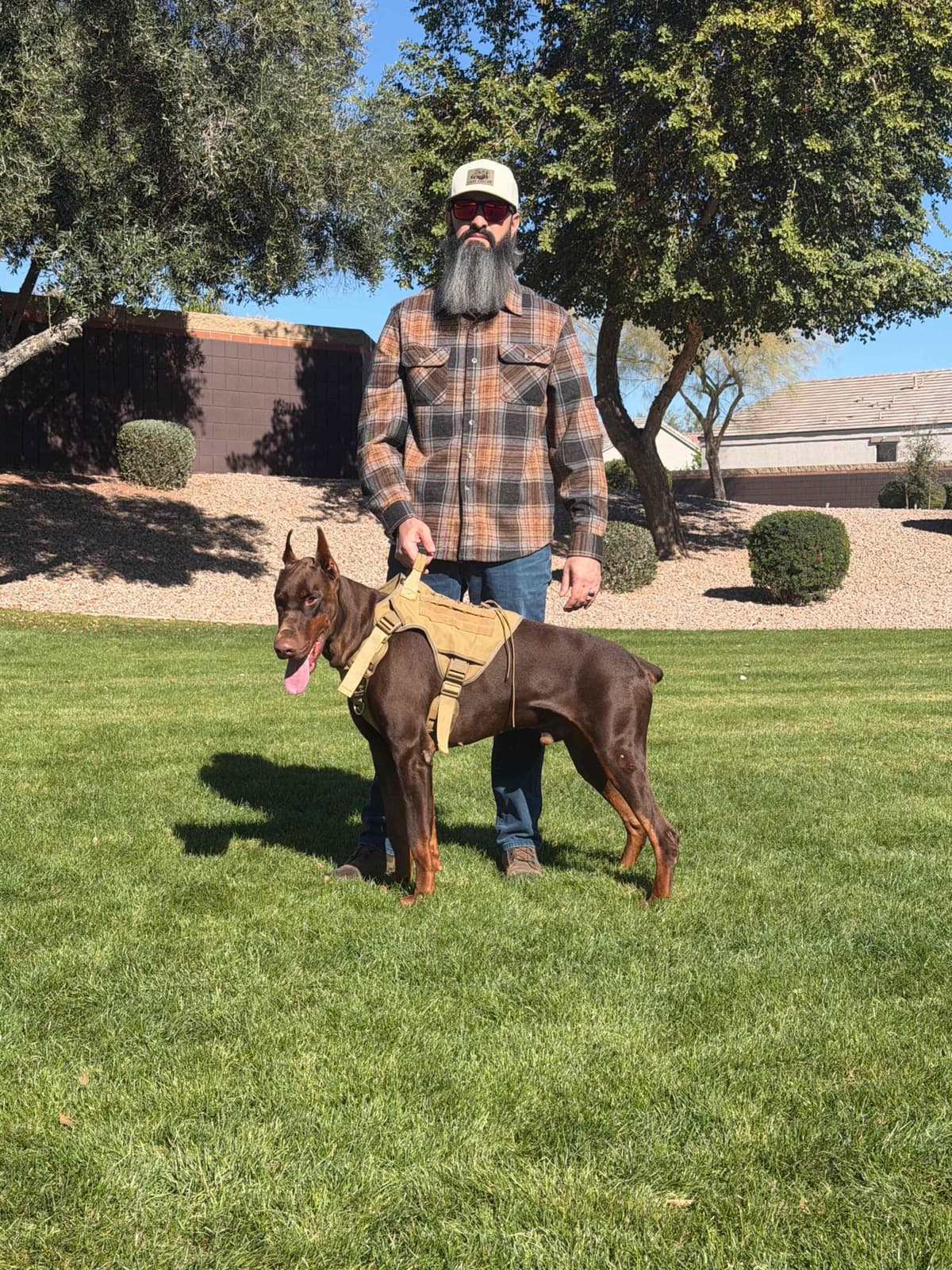 Doberman Pinscher Puppies breeder image 1