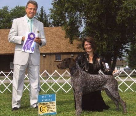 Selectively Line Bred for Performance!!!! breeder image 14