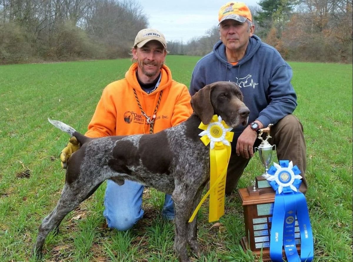 Selectively Line Bred for Performance!!!! breeder image 24