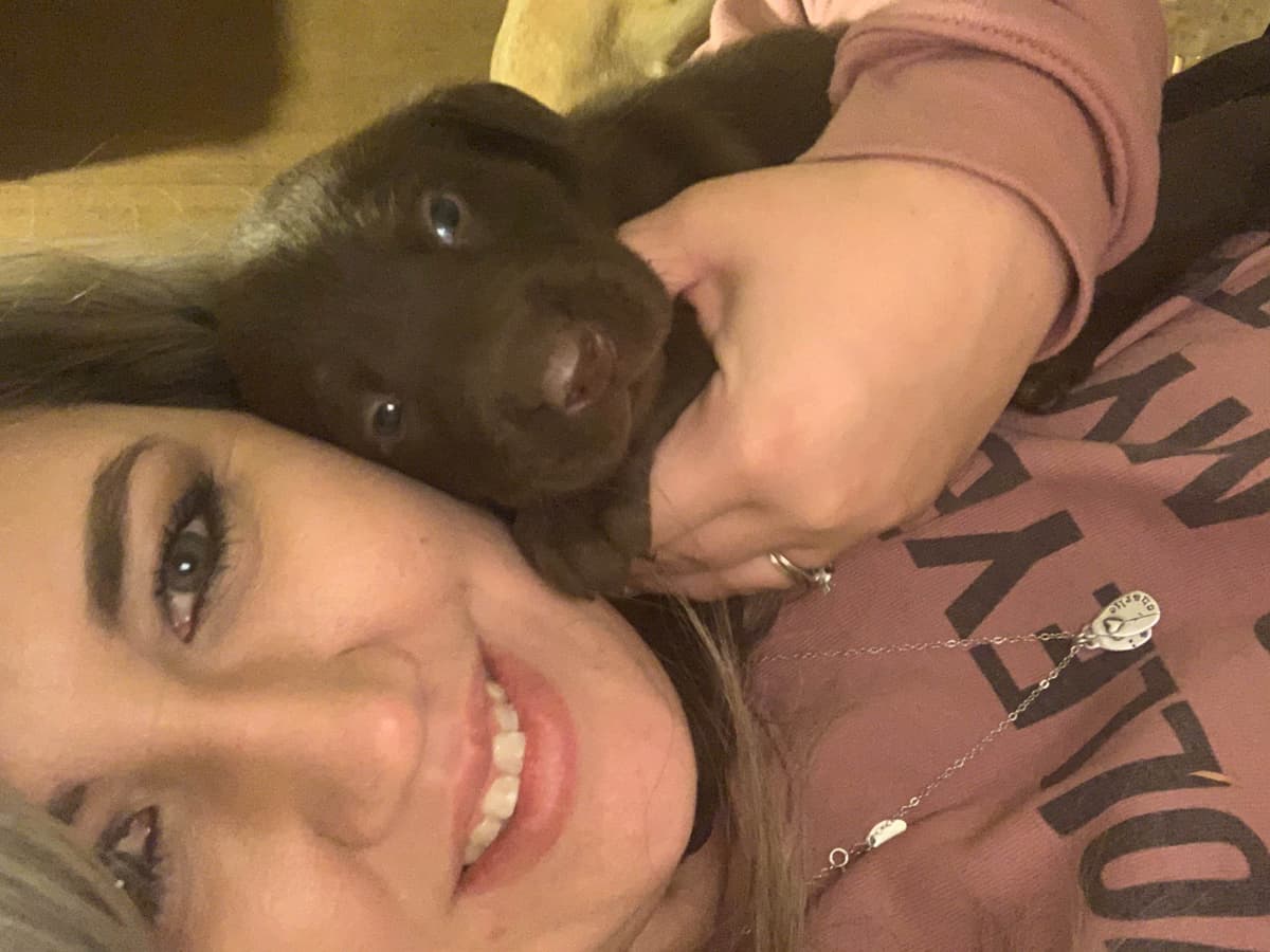 Labrador Retriever Puppies breeder image 13