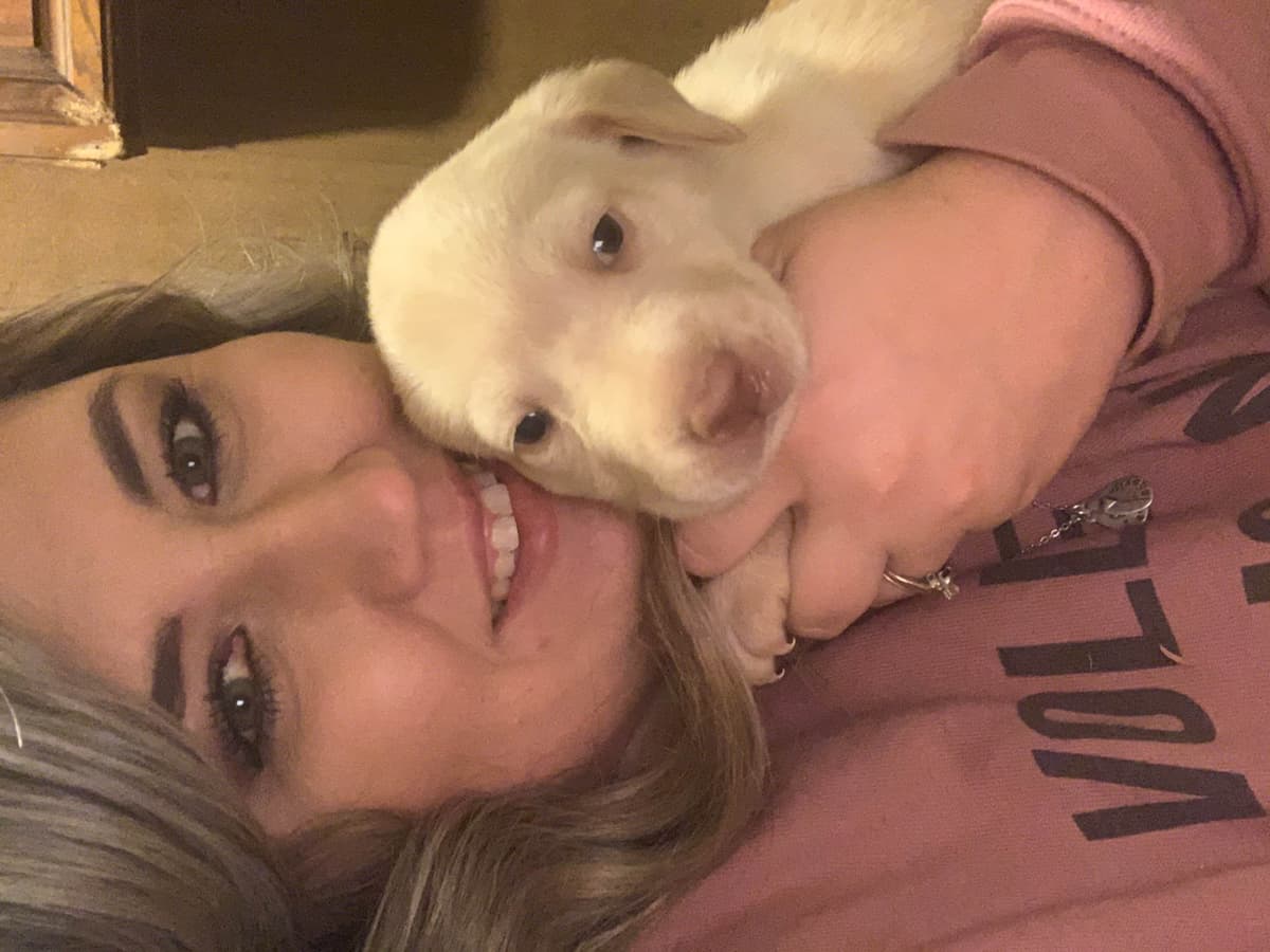 Labrador Retriever Puppies breeder image 12