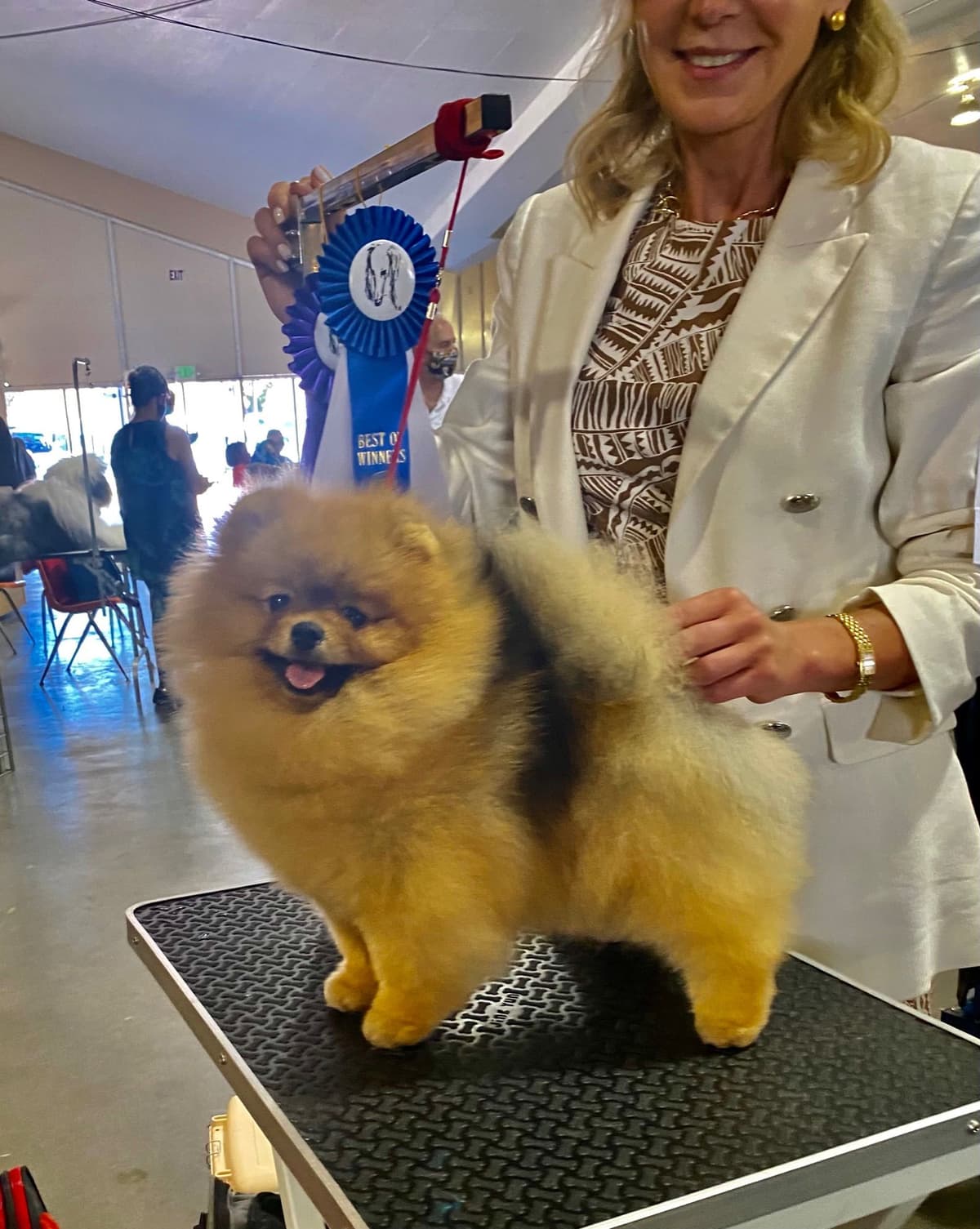 Pomeranian Puppies breeder image 11