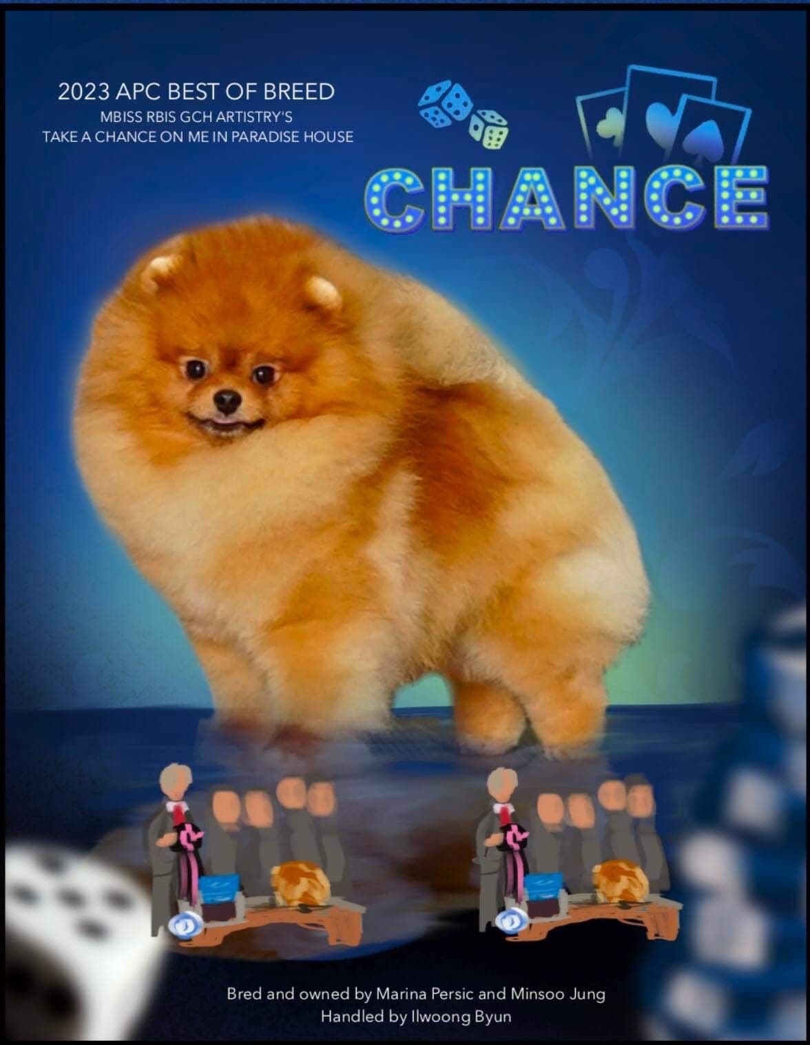 Pomeranian Puppies breeder image 19