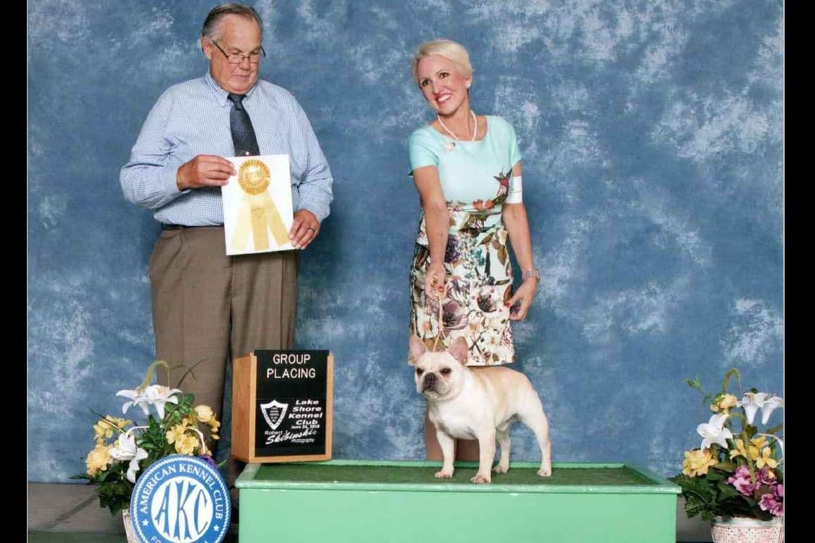 French Bulldog Puppies breeder image 1