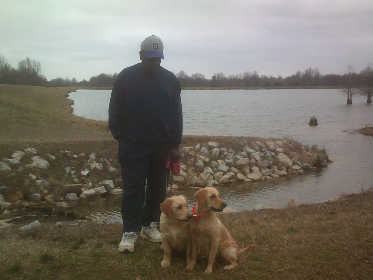 4 GIRLS available 07.06.26 2 are mini to are medium. Red and Blonds breeder image 16