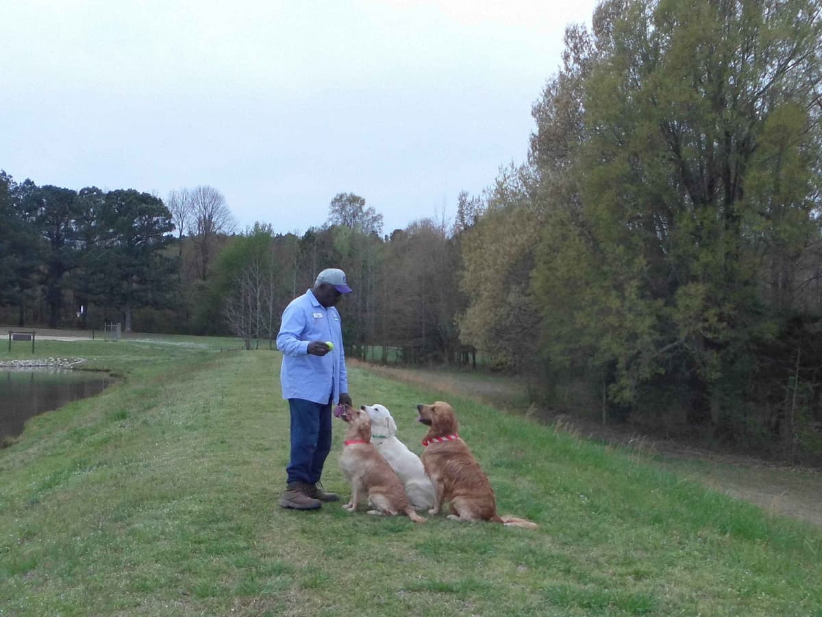 4 GIRLS available 07.06.26 2 are mini to are medium. Red and Blonds breeder image 25