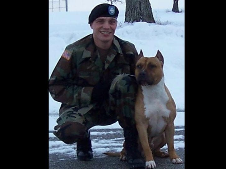 American Staffordshire Terrier Puppies - GrinNation Noble Amstafs breeder image 1