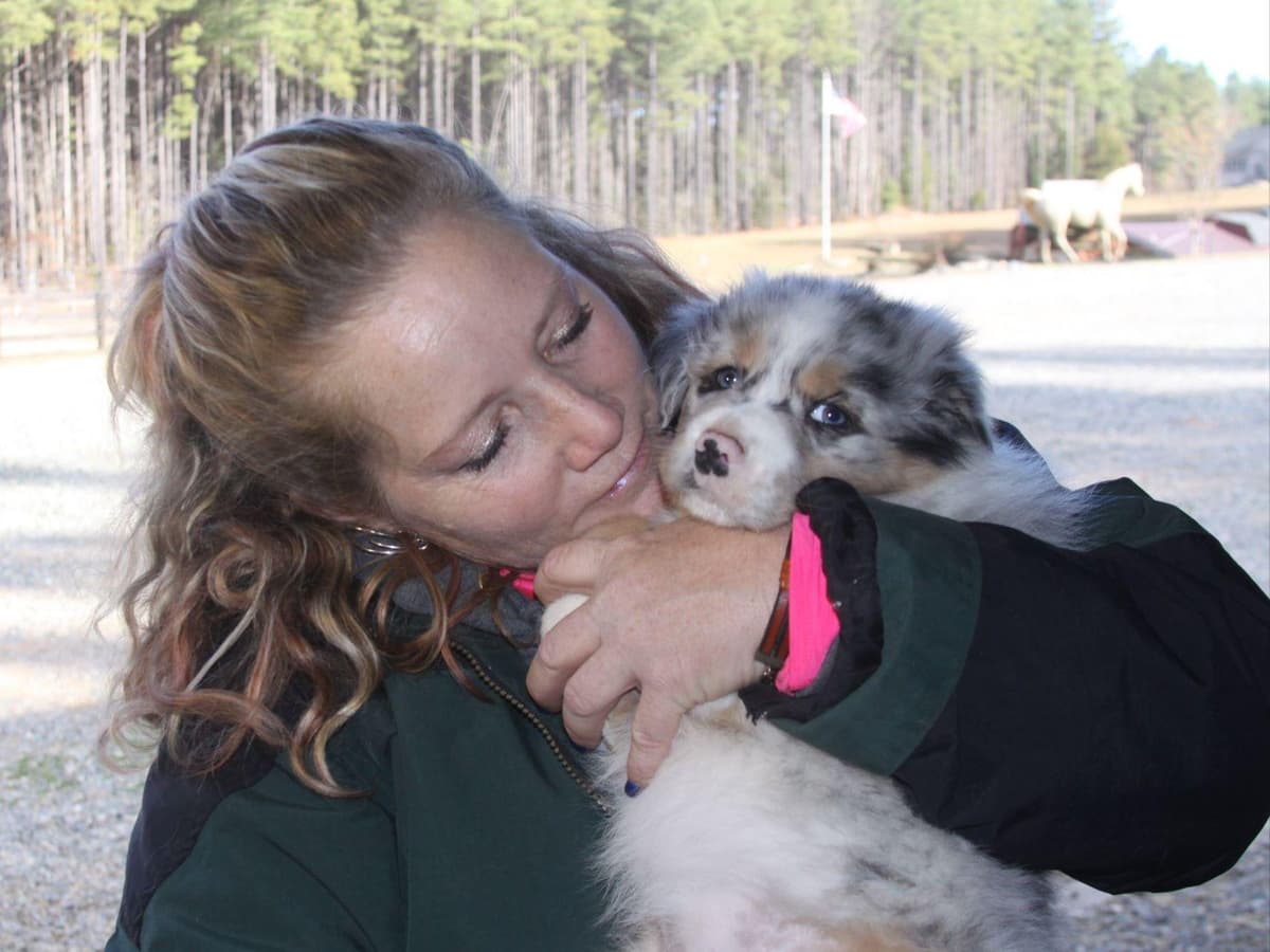 Australian Shepherd Puppies breeder image 23