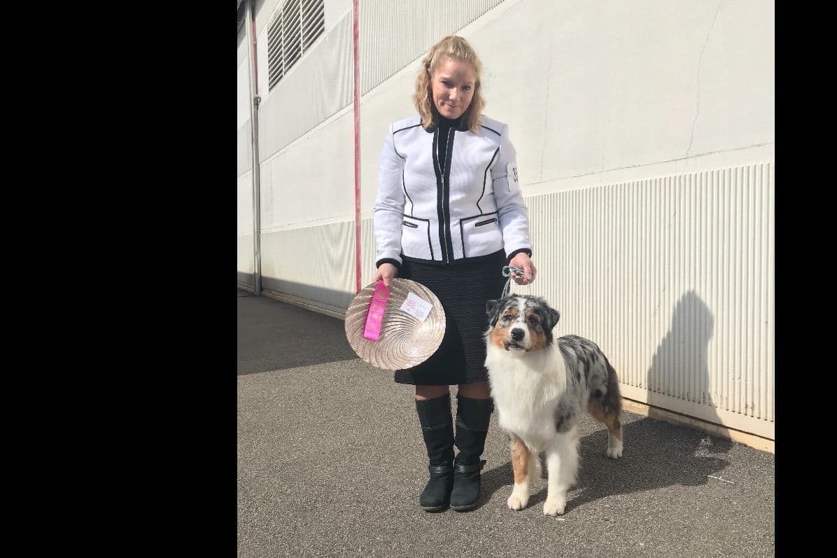 Australian Shepherd Puppies breeder image 19