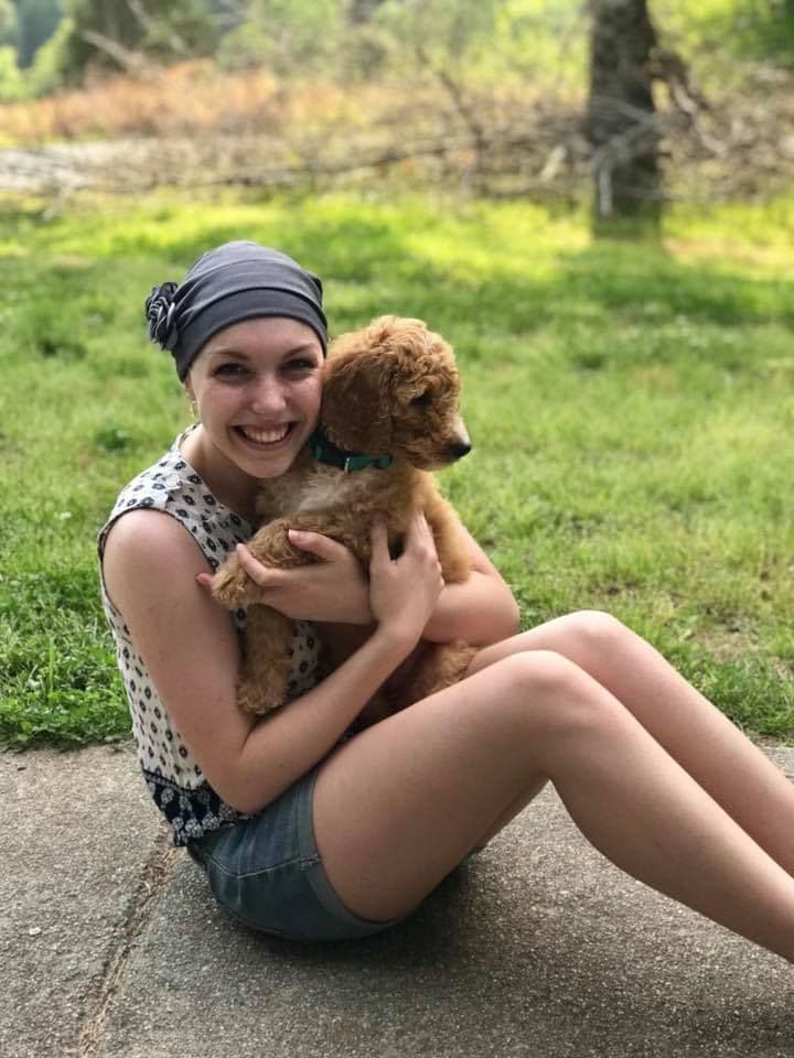 Poodle Puppies breeder image 9