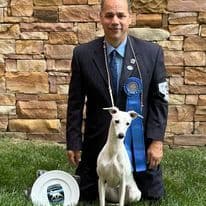 Whippet Puppies breeder image 8