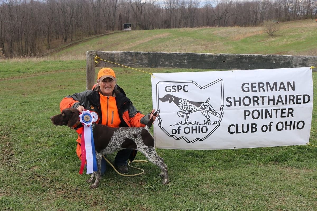 German Shorthaired Pointer Puppies breeder image 2
