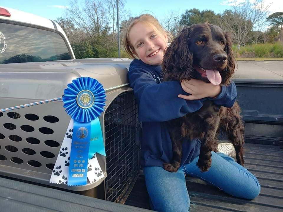 Championship bred Boykin Spaniel Puppies breeder image 11