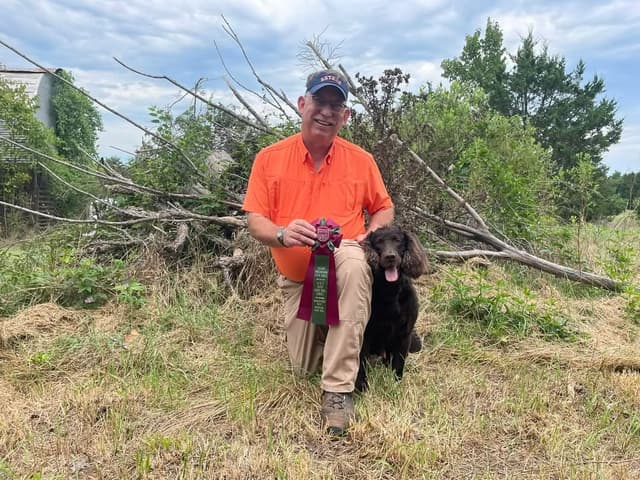 Championship bred Boykin Spaniel Puppies media 4