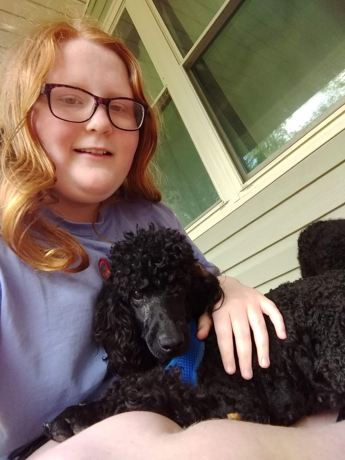 Poodle Puppies breeder image 7