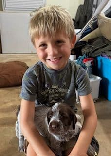 Wirehaired Pointing Griffon Puppies breeder image 5