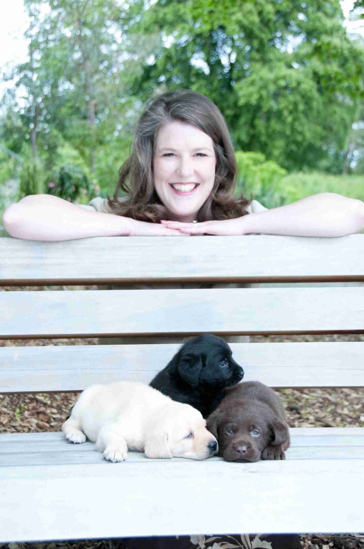Labrador Retriever Puppies breeder image 3