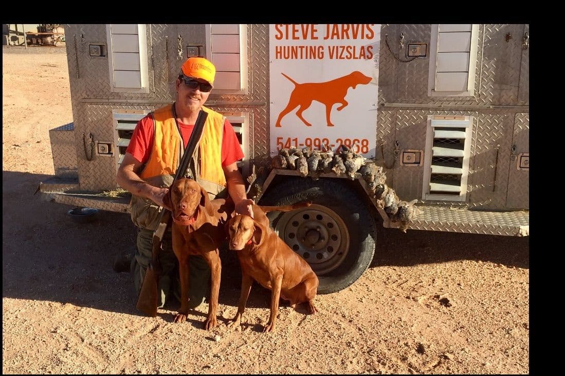 Vizsla Puppies breeder image 3