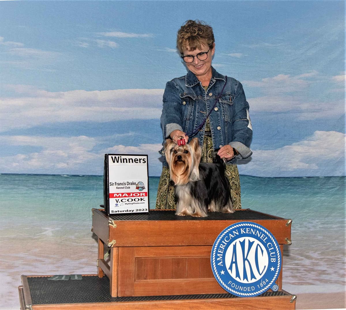Yorkshire Terrier Puppies breeder image 19