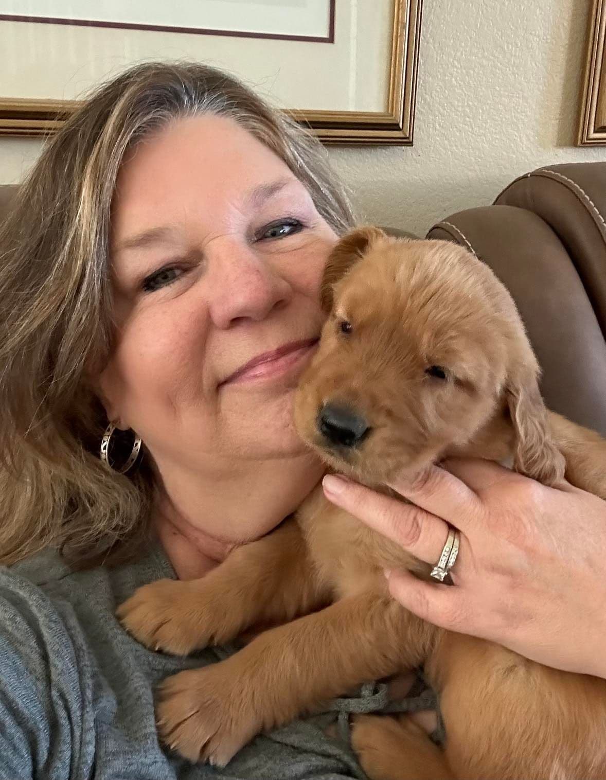 Dark Mahogany Red Golden Retriever Puppies breeder image 1
