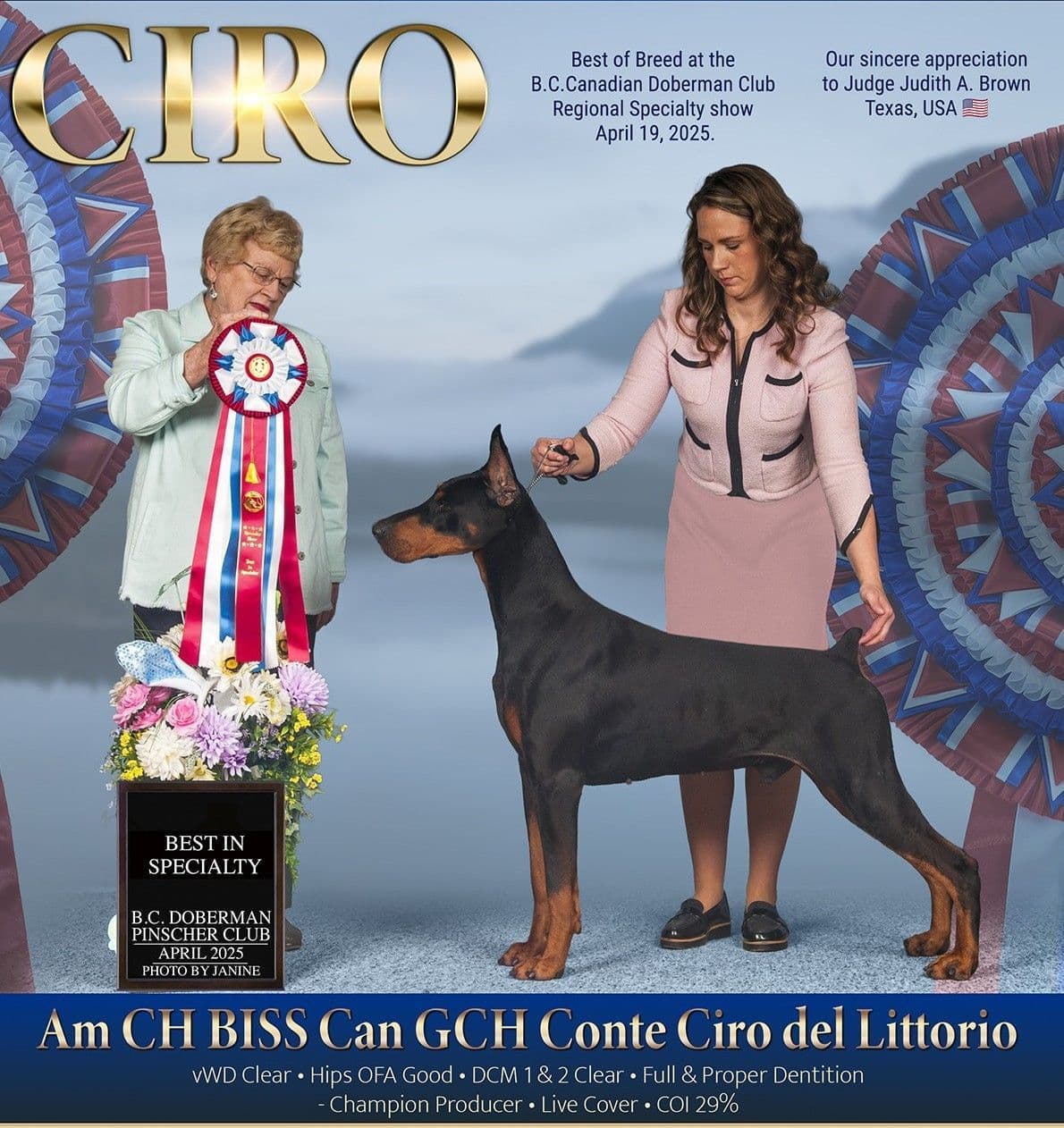 Doberman Pinscher Puppies breeder image 15