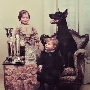 Doberman Pinscher Puppies media 2