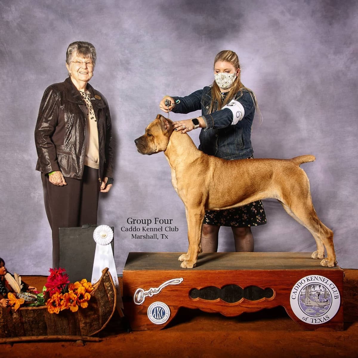 100% Pure and Authentic European Cane Corso Puppies breeder image 6