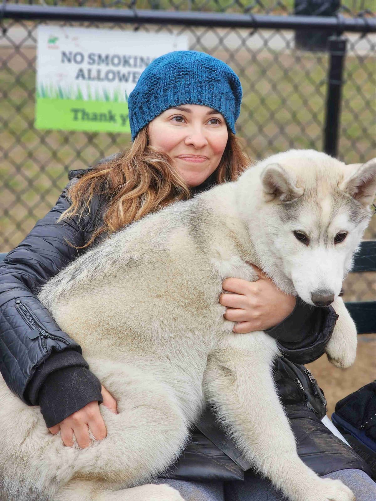 Siberian Husky Puppies breeder image 17