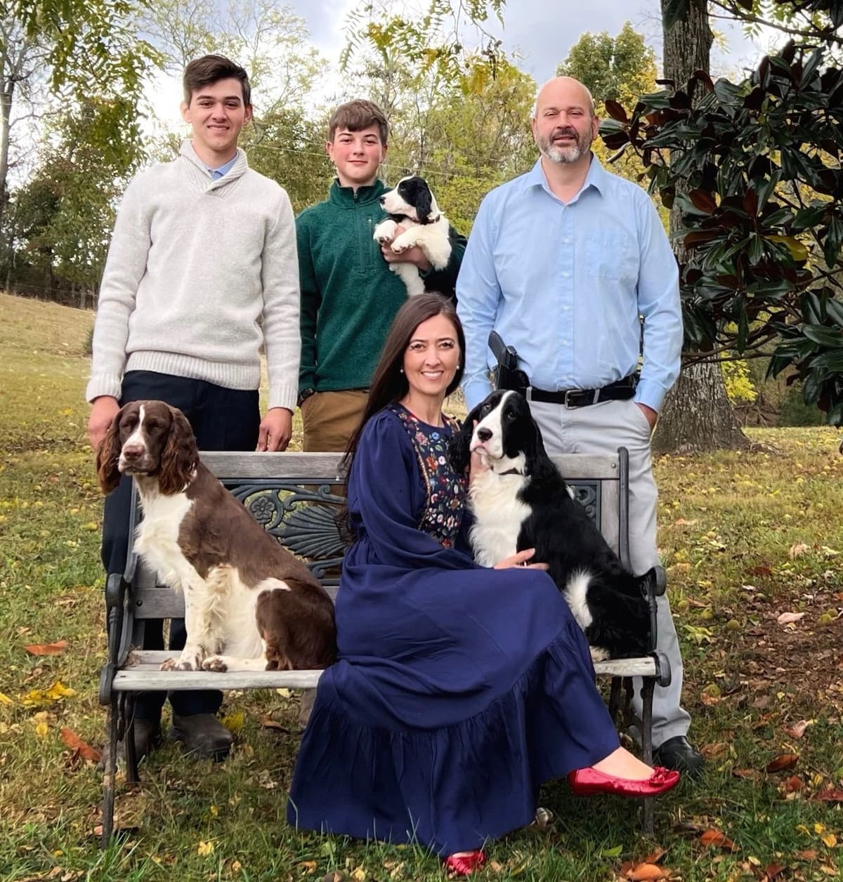 English Springer Spaniel Puppies breeder image 6